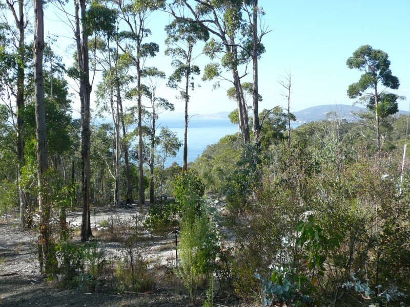 41 Wootten Drive, Bonnet Hill TAS 7053