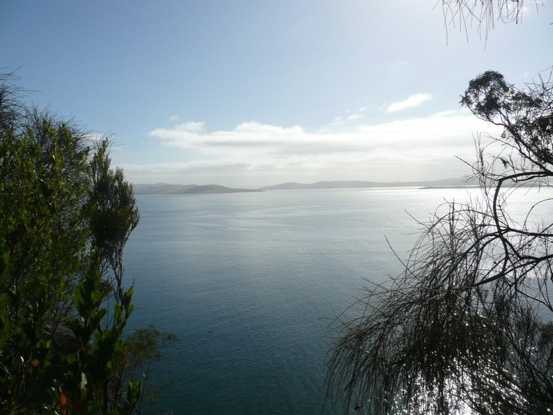 41 Wootten Drive, Bonnet Hill TAS 7053