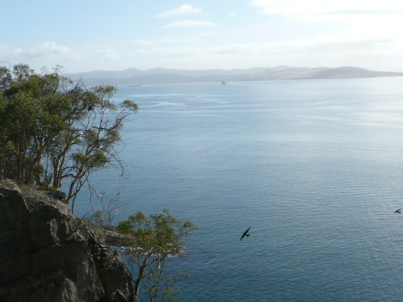 41 Wootten Drive, Bonnet Hill TAS 7053