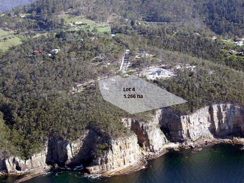 41 Wootten Drive, Bonnet Hill TAS 7053