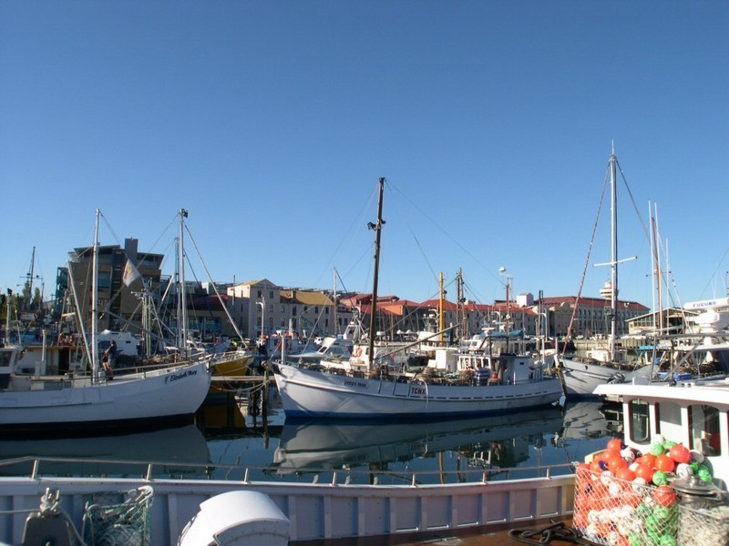 211 3 Evans Street, Hobart TAS 7000