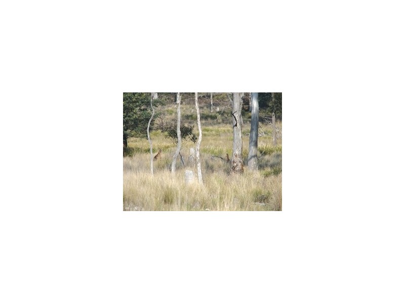 1025 Lemont Road, Lemont TAS 7120