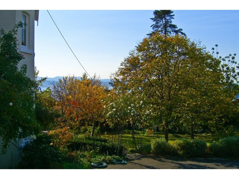 31 Fisher Avenue, Sandy Bay TAS 7005