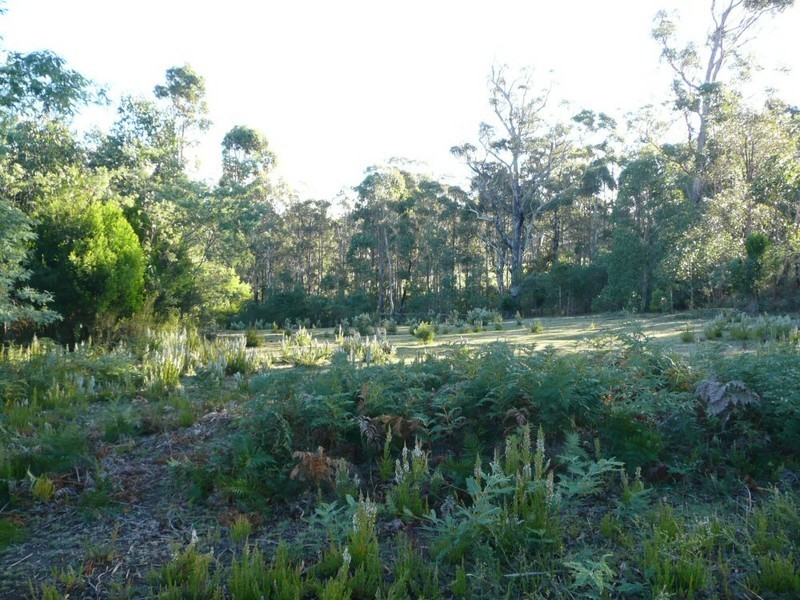 Hobart TAS 7000