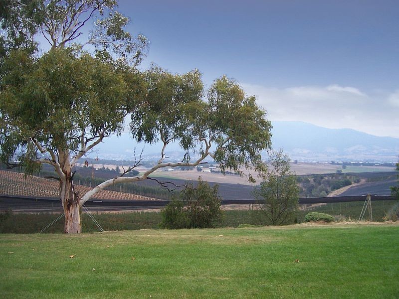 32 Harvest Lane, Old Beach TAS 7017