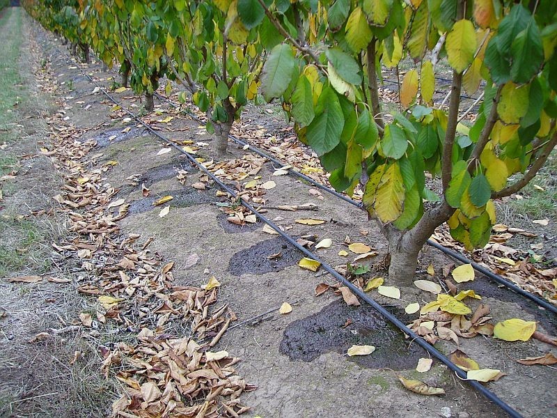 32 Harvest Lane, Old Beach TAS 7017