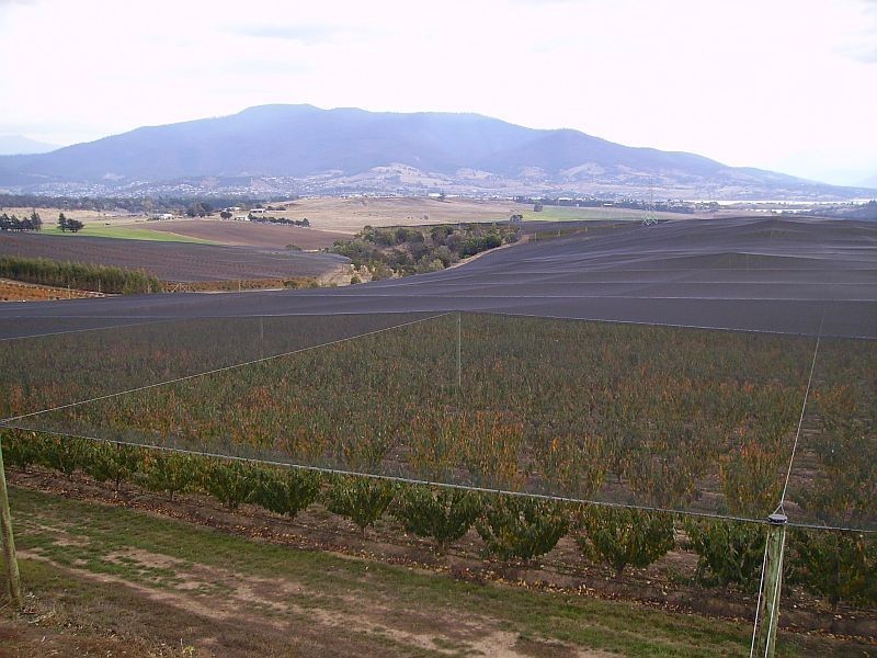 32 Harvest Lane, Old Beach TAS 7017