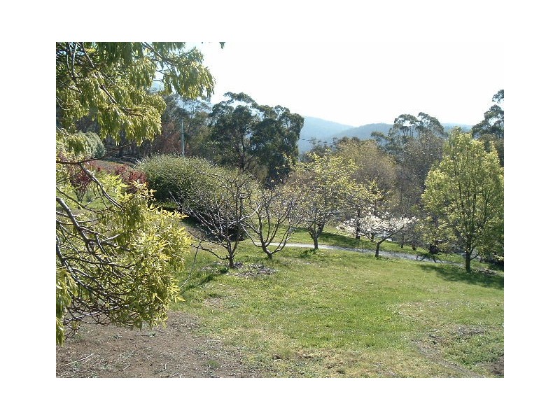 Lot 1/486 Huon Road, South Hobart TAS 7004