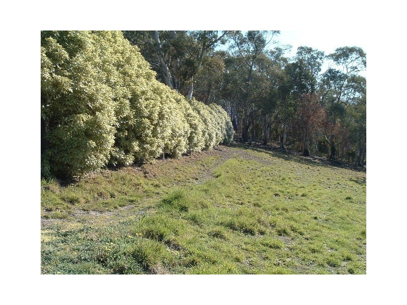 Lot 1/486 Huon Road, South Hobart TAS 7004