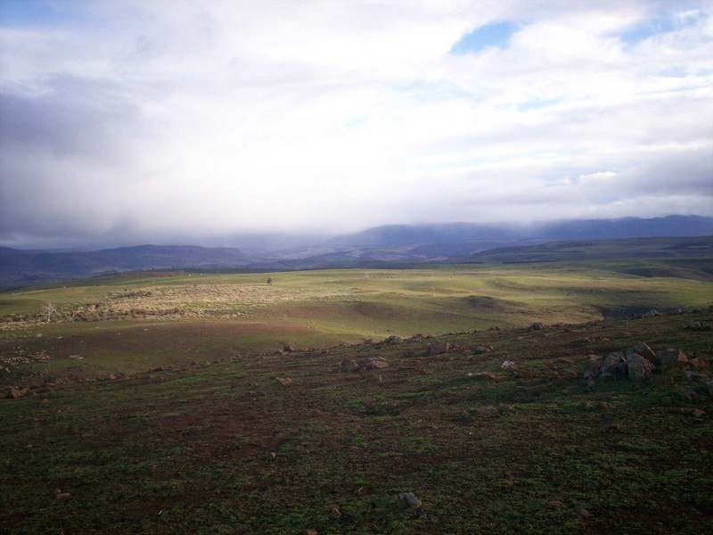 . “Boomer”, Hamilton TAS 7140