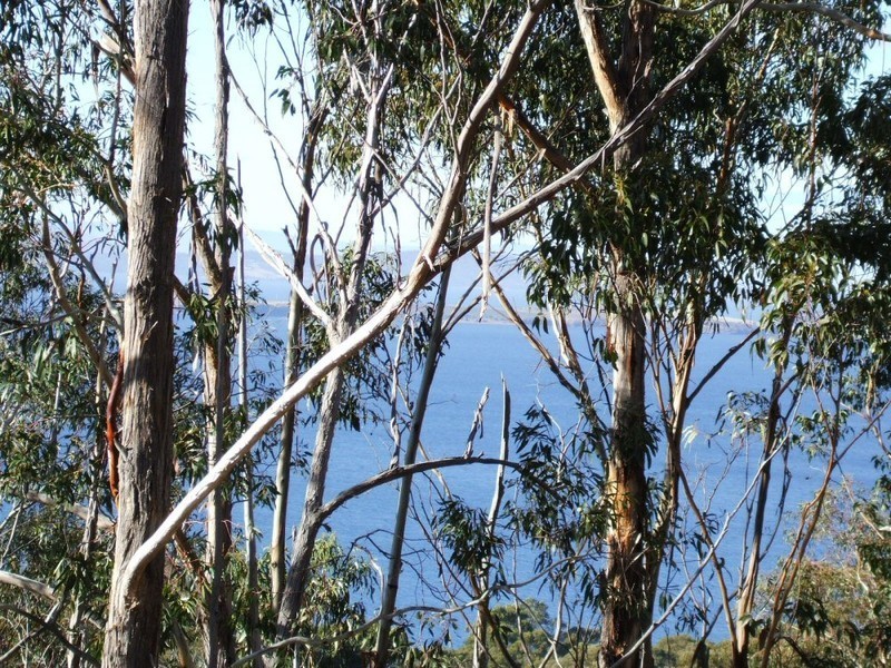 24 Earlwood Court, Taroona TAS 7053