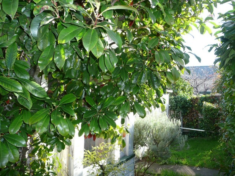 262 Brooker Avenue, North Hobart TAS 7000