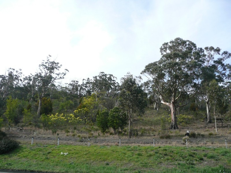 262 Brooker Avenue, North Hobart TAS 7000