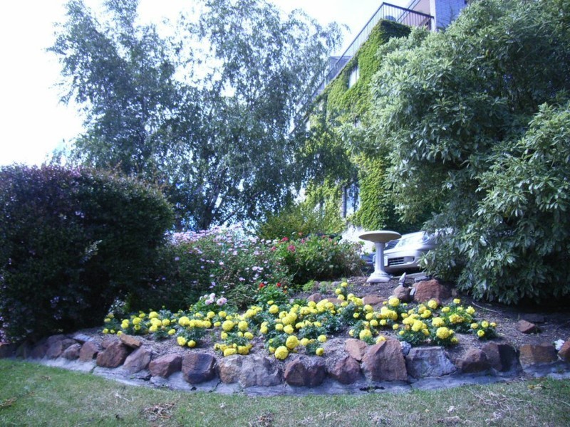 7-92 Barrack Street, Hobart TAS 7000