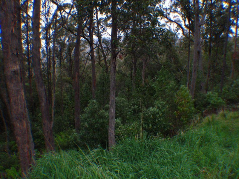 37 Summerleas Road, Fern Tree TAS 7054