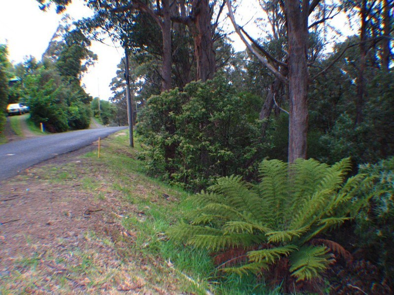 37 Summerleas Road, Fern Tree TAS 7054