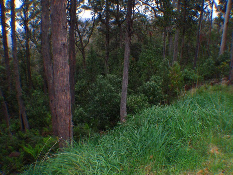 37 Summerleas Road, Fern Tree TAS 7054