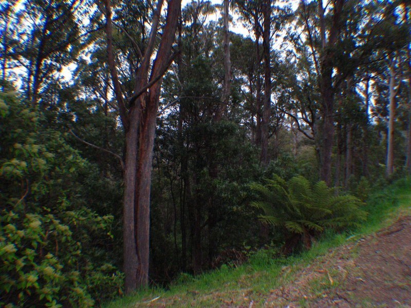 37 Summerleas Road, Fern Tree TAS 7054