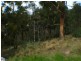 11 Daly Road, Lenah Valley TAS 7008