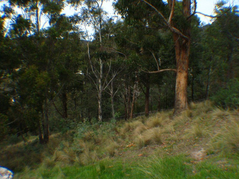 11 Daly Road, Lenah Valley TAS 7008