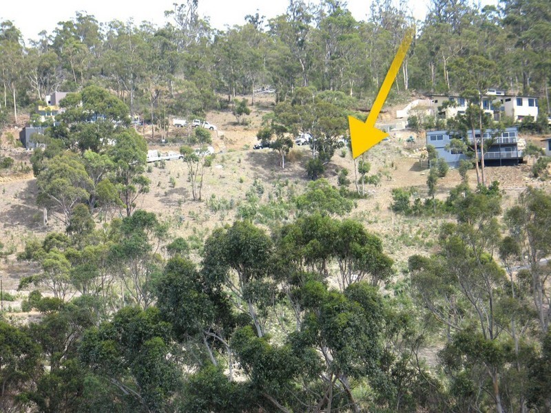 27 Woodcutters Road, Tolmans Hill TAS 7007