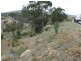 27 Woodcutters Road, Tolmans Hill TAS 7007