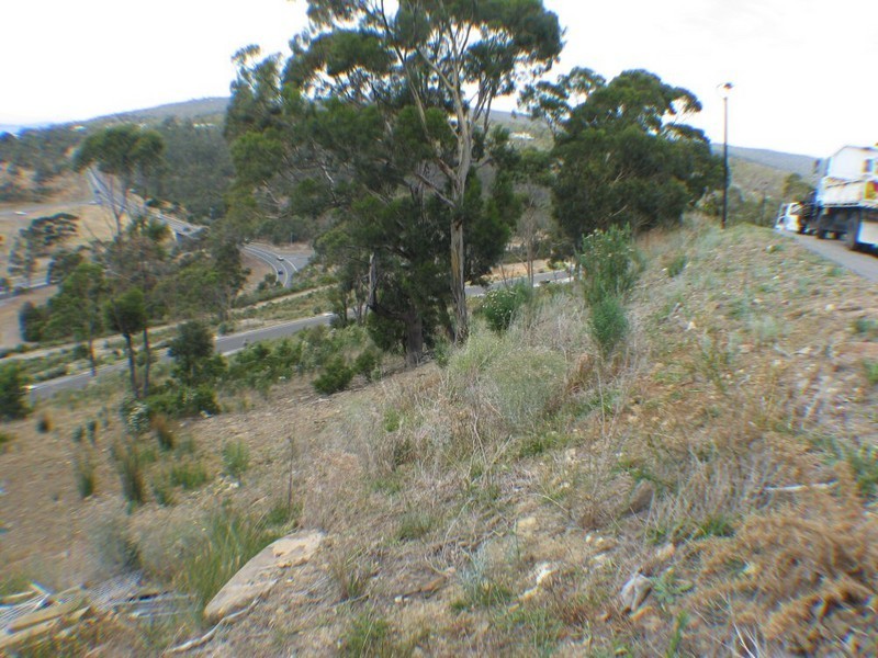 27 Woodcutters Road, Tolmans Hill TAS 7007