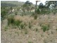 27 Woodcutters Road, Tolmans Hill TAS 7007