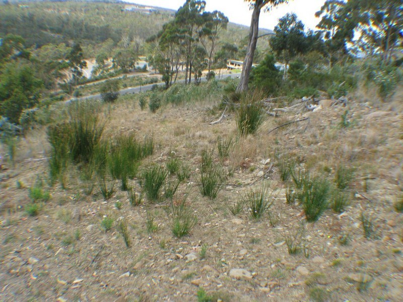 27 Woodcutters Road, Tolmans Hill TAS 7007
