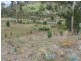27 Woodcutters Road, Tolmans Hill TAS 7007