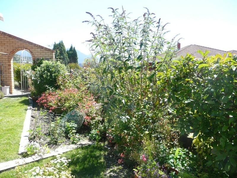 2/11 Tiersen Place, Sandy Bay TAS 7005