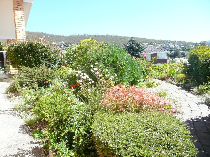 2/11 Tiersen Place, Sandy Bay TAS 7005