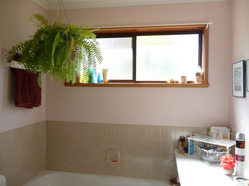 3-5 Lynton Avenue, South Hobart TAS 7004