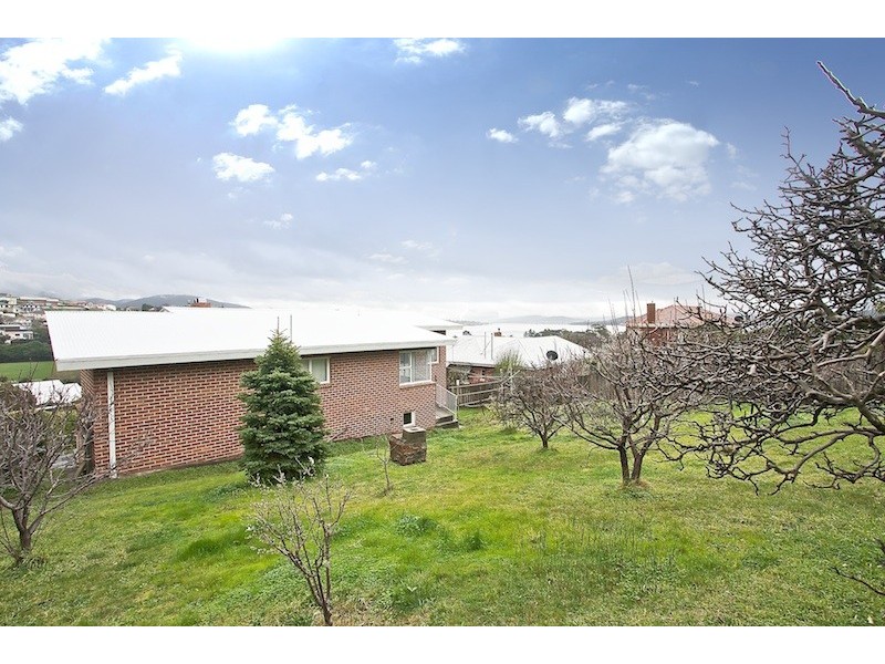 16 Wayne Avenue, Sandy Bay TAS 7005