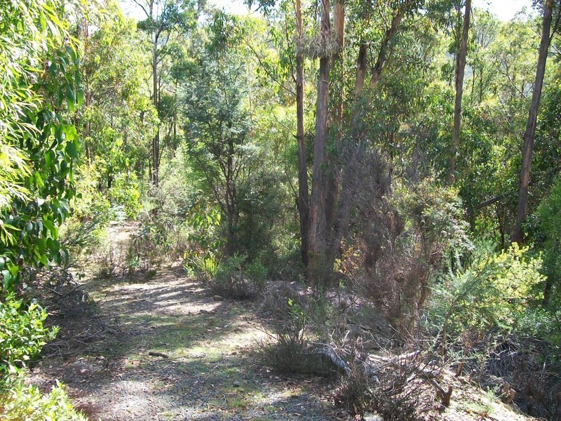 21 Menuggana Road, Fern Tree TAS 7054