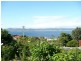 13 Sonning Crescent, Sandy Bay TAS 7005