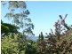5/207 Churchill Avenue, Sandy Bay TAS 7005