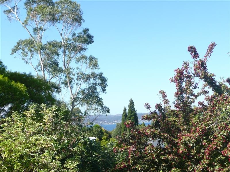 5/207 Churchill Avenue, Sandy Bay TAS 7005