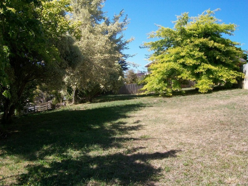 256 Churchill Avenue, Sandy Bay TAS 7005