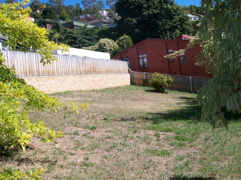 256 Churchill Avenue, Sandy Bay TAS 7005