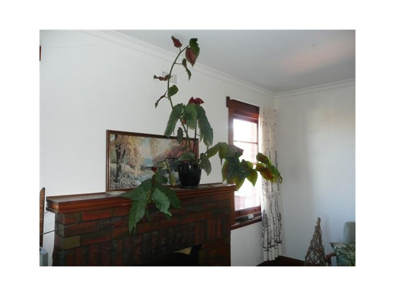 274 Bathurst Street, West Hobart TAS 7000