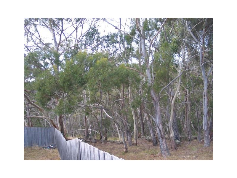423 Nelson Road, Mount Nelson TAS 7007