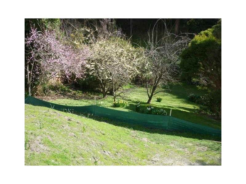 178A Waterworks Road, Dynnyrne TAS 7005