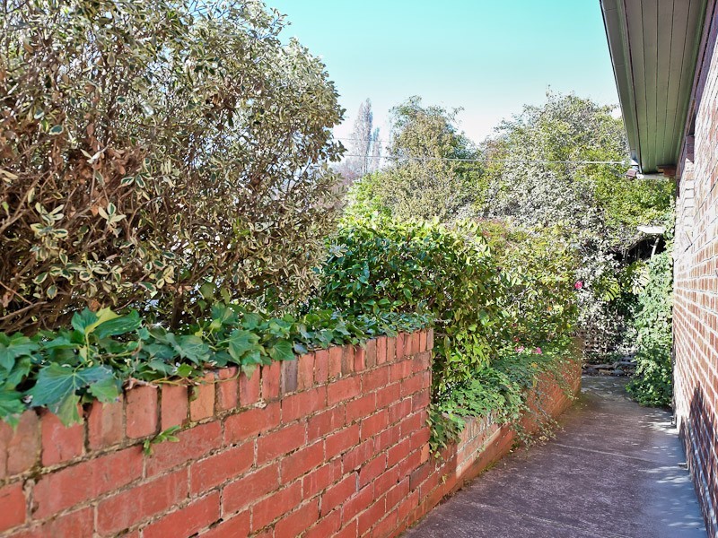 51 Waimea Avenue, Sandy Bay TAS 7005
