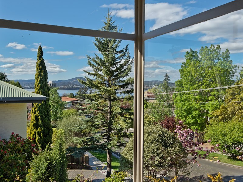 51 Waimea Avenue, Sandy Bay TAS 7005