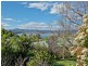 51 Waimea Avenue, Sandy Bay TAS 7005