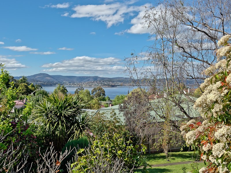 51 Waimea Avenue, Sandy Bay TAS 7005