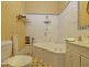 17 Gregory Street, Sandy Bay TAS 7005