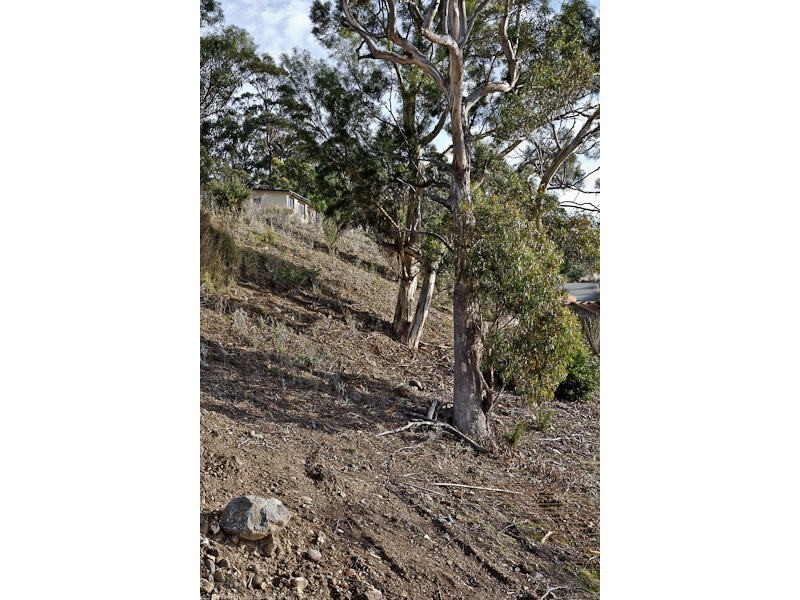 27 Woodcutters Road, Tolmans Hill TAS 7007