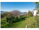 1 Folder Street, Sandy Bay TAS 7005